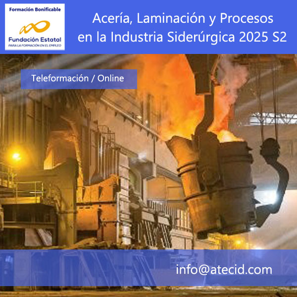Curso de Acería, Laminación y Procesos en la industria siderúrgica 2025 S1